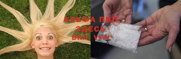 прущие грибы Алзамай