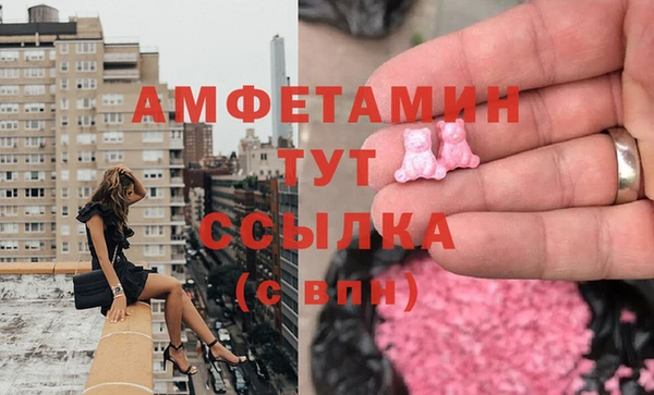 прущие грибы Алзамай