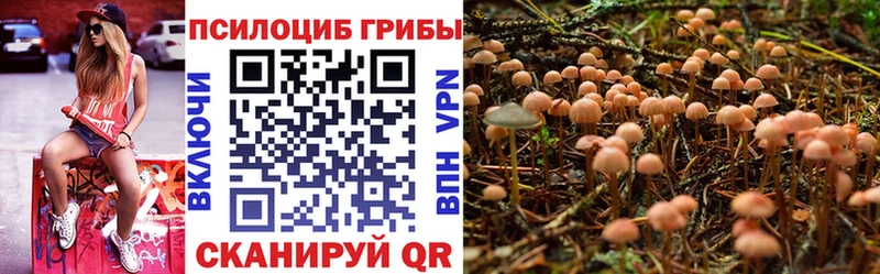 Псилоцибиновые грибы MAGIC MUSHROOMS  сколько стоит  Губкин 
