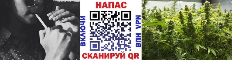 МАРИХУАНА индика Губкин